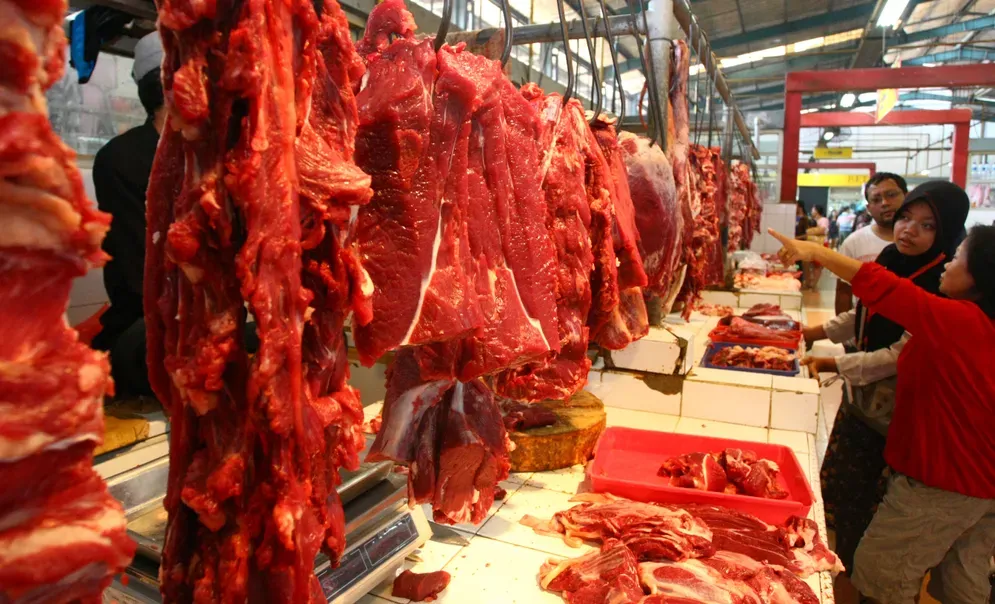 Harga Daging Sapi Masih Mahal Rp135 Ribu per Kg (foto : int)