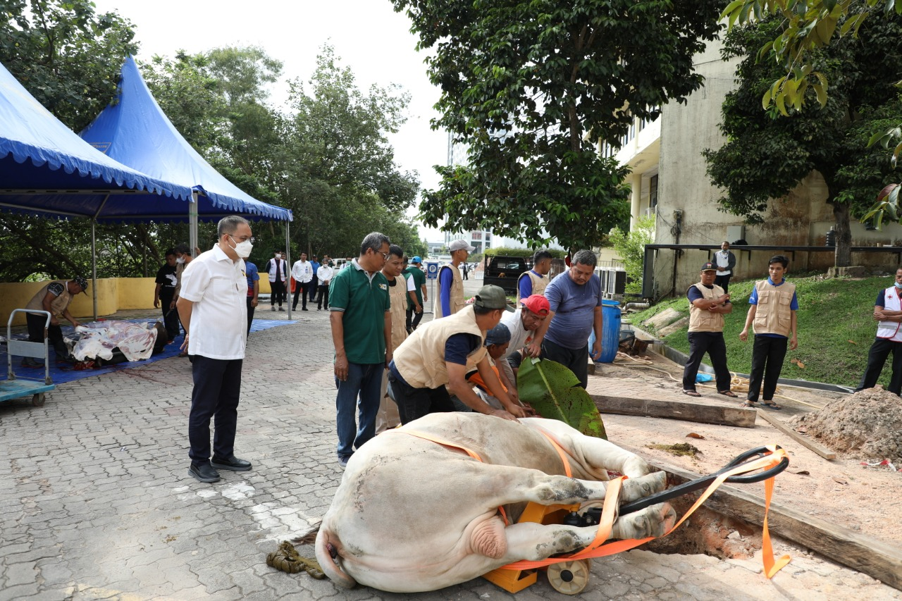 Momen Idul Adha 1443 H, BP Batam Sembelih Hewan Qurban (Foto : hms)