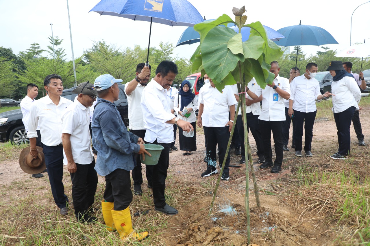 Kepala BP Batam Tinjau Pertumbuhan Pohon Kayu Jati Emas. (hms)